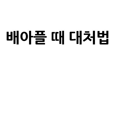 배아플 때 대처법 완벽 가이드