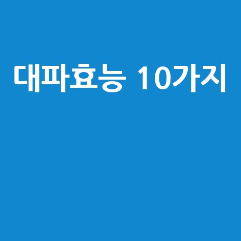 대파효능 10가지: 건강과 미용