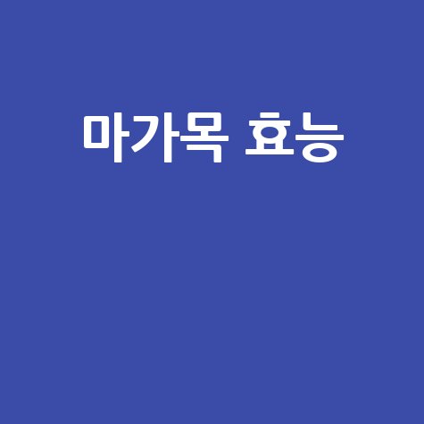 마가목 효능과 건강 효과 알아보기