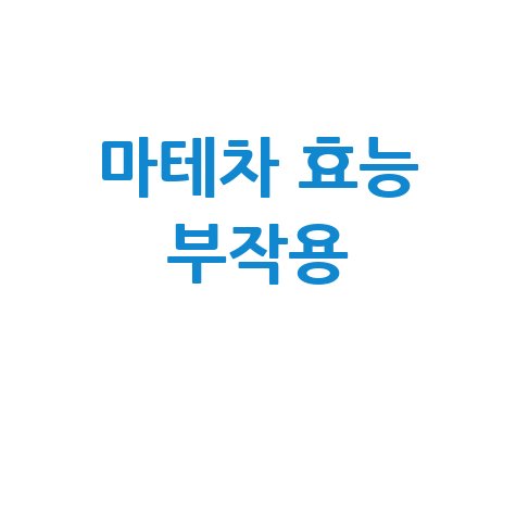 마테차 효능과 부작용 완벽 정리