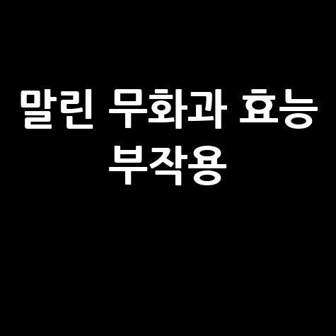 말린 무화과 효능과 부작용 알아보기