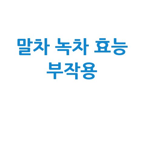 말차 녹차 효능과 부작용 완벽 정리