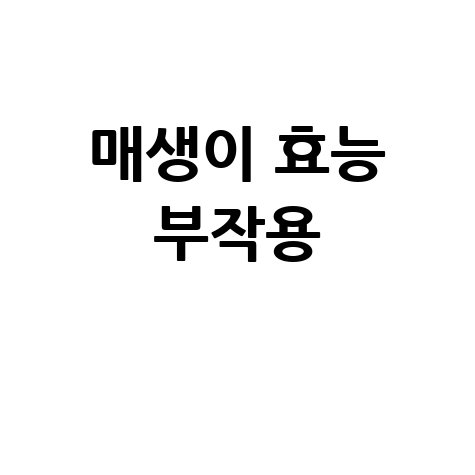 매생이 효능과 부작용 완벽 정리