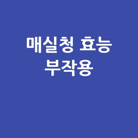 매실청 효능과 부작용 완벽 정리
