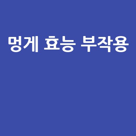 멍게 효능과 부작용 완벽 정리