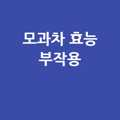 모과차 효능과 부작용 알아보기