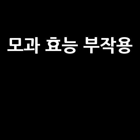 모과 효능과 부작용 완벽 정리