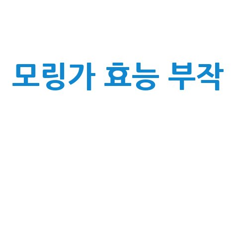 모링가 효능과 부작용 완벽 정리