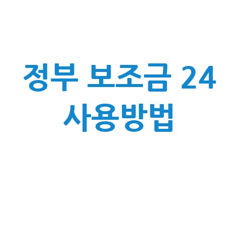 정부 보조금 24 사용방법
