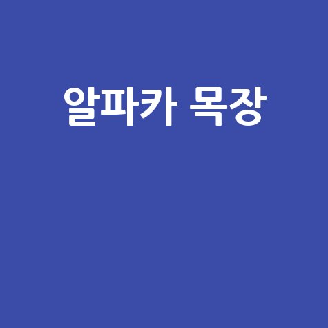 알파카 목장 주말 힐링 나들이