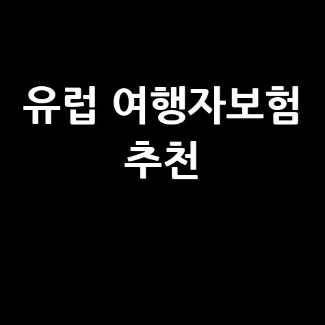 유럽 여행 필수 여행자보험 추천 저렴하게 가입하기