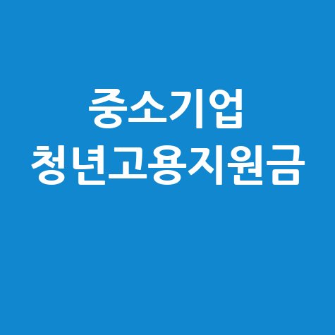 중소기업 청년고용지원금: 종류별 완벽 신청 가이드