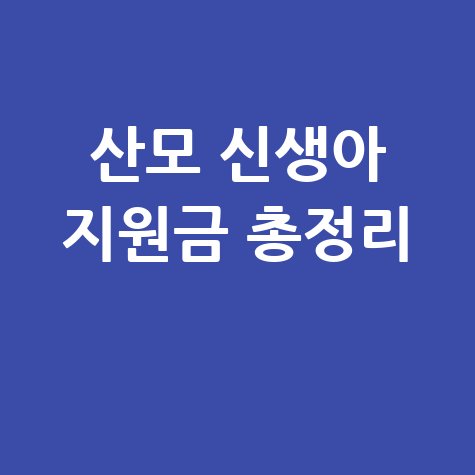 산모 신생아 건강관리 지원 신청 방법, 환급금 및 사용처 총정리